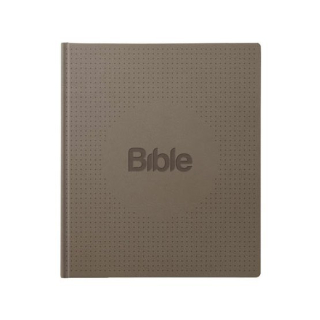Bible, překlad 21. století, ilumina