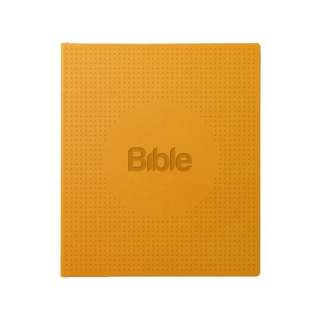 Bible, překlad 21. století, ilumina