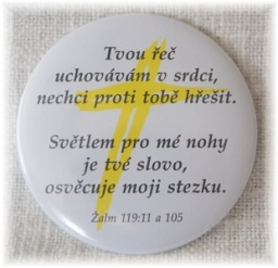 Placka 75mm - Tvou řeč...