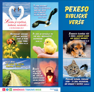 PEXESO – Biblické verše